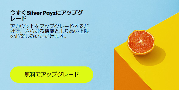 出金方法について解説：Payz(ペイズ)