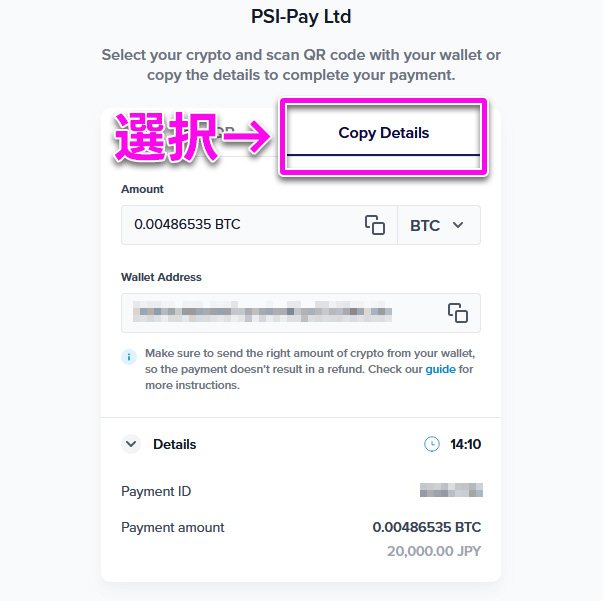 入金方法について解説:Payz(ペイズ)
